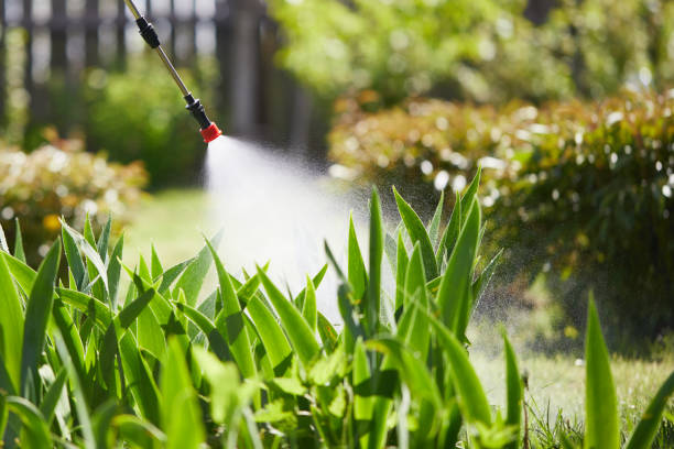 24/7 Emergency Mosquito Control experts in Goodyear, AZ