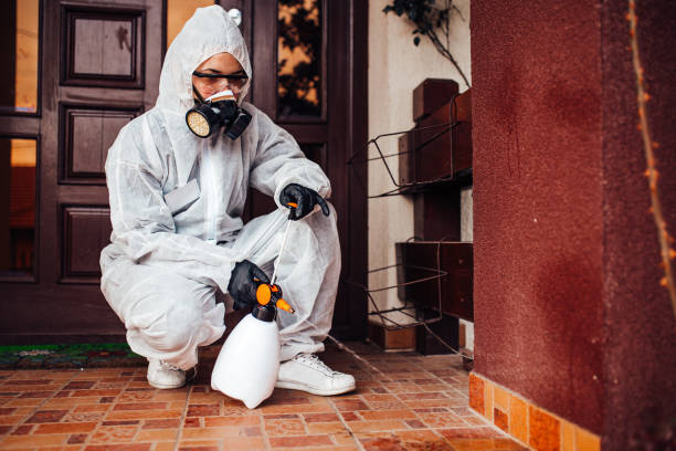 Reliable Mosquito Control contractor in Goodyear, AZ by Show Me Pest Control