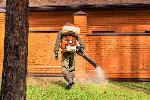 Top rated local Mosquito Control specialists in Goodyear, AZ